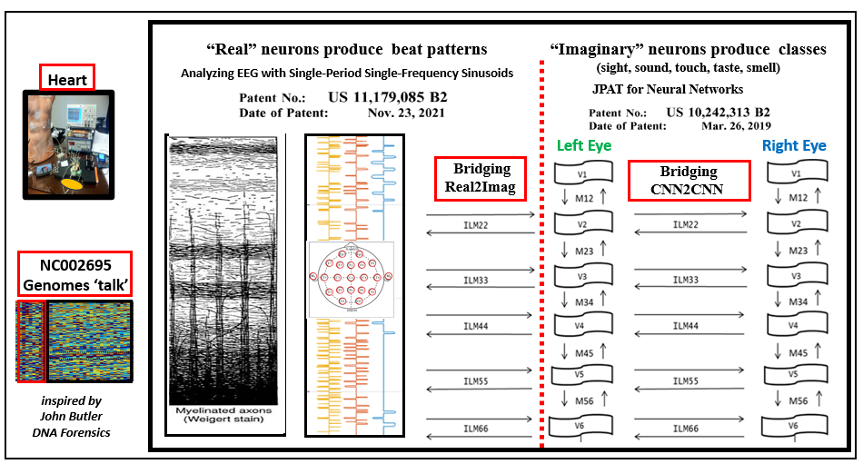 RAINNE diagram joining real EEG signals and imaginary neural networks